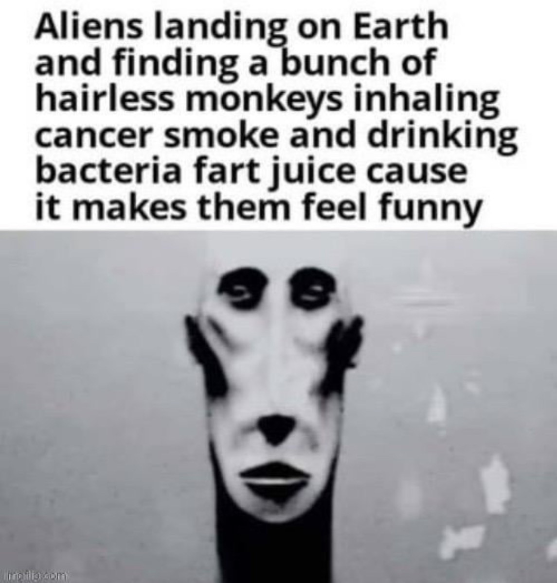 Media